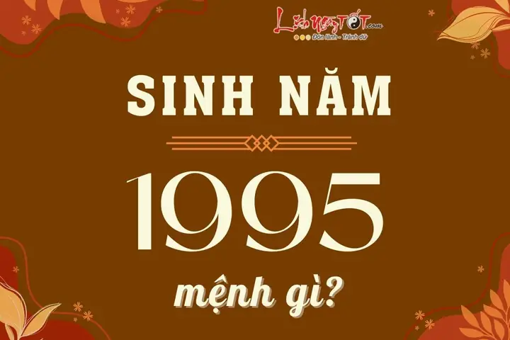 1995 Mệnh Gì? Giải Mã Tuổi Ất Hợi: Cung Mệnh, Phong Thủy & Hợp Tuổi