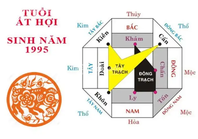 1995 Mệnh Gì? Giải Mã Tuổi Ất Hợi: Cung Mệnh, Phong Thủy & Hợp Tuổi