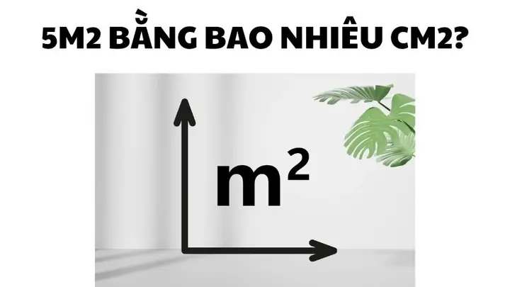 5m2 Bằng Bao Nhiêu Cm2? Hướng Dẫn Quy Đổi Chính Xác & Ứng Dụng