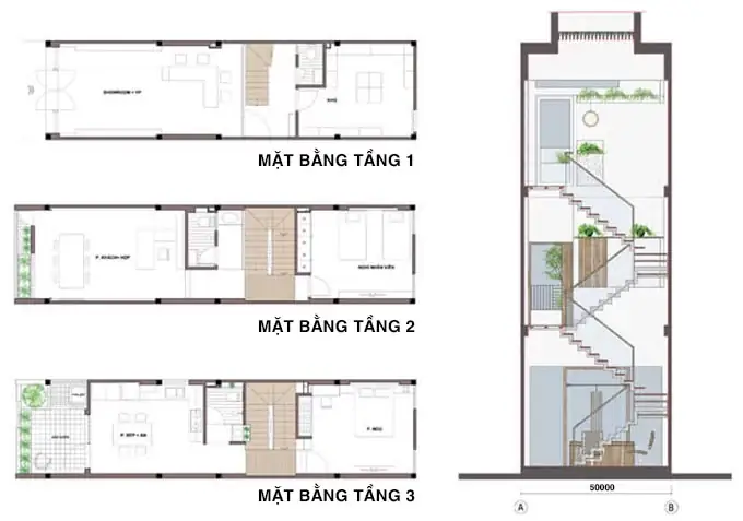 Bản Vẽ Cầu Thang Nhà Ống: Mẫu Đẹp & Kinh Nghiệm Thiết Kế Tối Ưu Không Gian