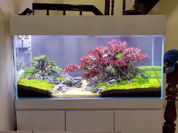 Bảng Giá Hồ Cá Thủy Sinh Chi Tiết & Yếu Tố Ảnh Hưởng Mới Nhất 2024