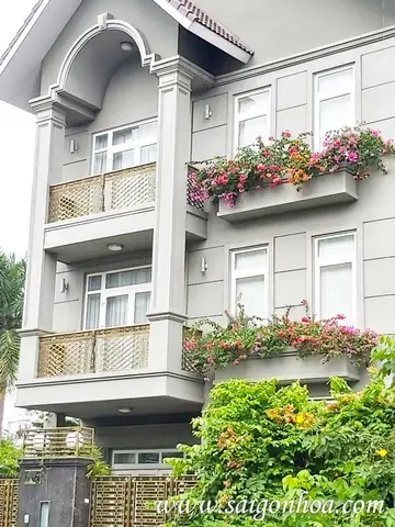 10+ Mẫu Bồn Hoa Ban Công Đẹp, Chậu Trồng Cây Phù Hợp & Ý Tưởng Trang Trí Sáng Tạo