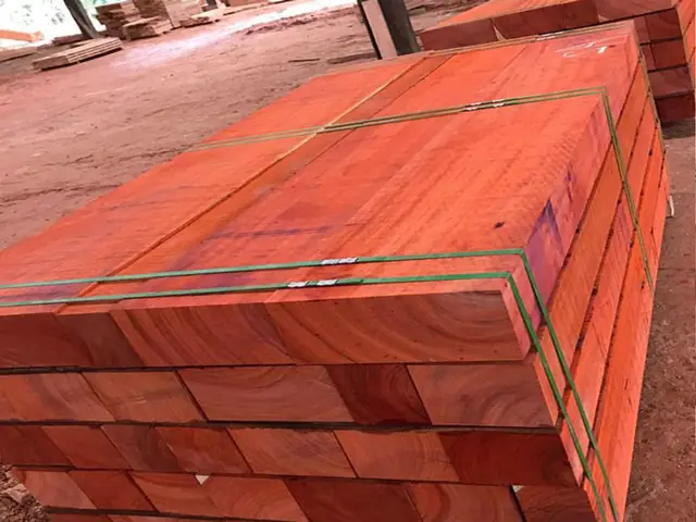 Các Loại Gỗ Màu Đỏ Phổ Biến: Đặc Điểm, Phân Loại Và Ứng Dụng