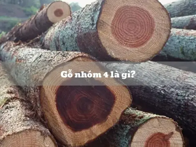 Các Loại Gỗ Nhóm 4 Phổ Biến: Đặc Tính & Ứng Dụng Thực Tế