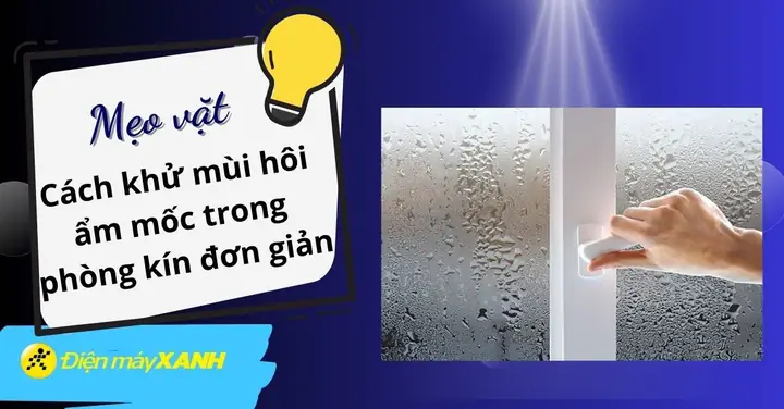 12 Cách Chống Ẩm Mốc Hiệu Quả Và Khử Mùi Phòng Ngủ