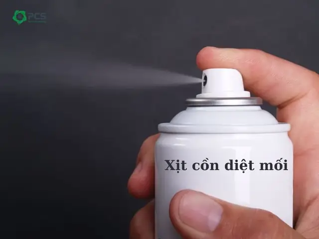 Cách Trị Mọt Gỗ Bằng Cồn Hiệu Quả Tại Nhà: Hướng Dẫn Chi Tiết