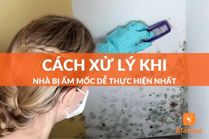 Nhà Bị Ẩm Mốc Phải Làm Sao? Hướng Dẫn Xử Lý Hiệu Quả & Ngăn Ngừa Tái Phát