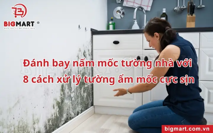 Nhà Bị Ẩm Mốc Phải Làm Sao? Hướng Dẫn Xử Lý Hiệu Quả & Ngăn Ngừa Tái Phát