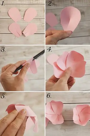 Cắt Giấy Trang Trí Phòng: Hướng Dẫn Chi Tiết Từ A-z Cho Người Mới Bắt Đầu