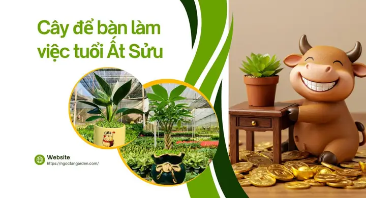 Cây Để Bàn Làm Việc Tuổi Ất Sửu 1985: Chọn Sao Cho Hợp Phong Thủy, Rước Tài Lộc