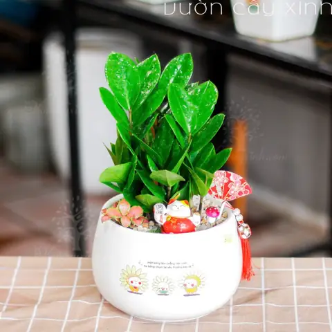 Tuổi Ất Sửu 1985 Trồng Cây Gì Hợp Phong Thủy, Mang Tài Lộc? Tuổi Ất Sửu 1985 Trồng Cây Gì Hợp Phong Thủy, Mang Tài Lộc?