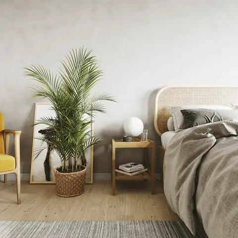 Cây Phong Thủy Trong Phòng Ngủ: Lựa Chọn Mang Lại May Mắn & Giấc Ngủ Ngon Cây Phong Thủy Trong Phòng Ngủ: Lựa Chọn Mang Lại May Mắn & Giấc Ngủ Ngon