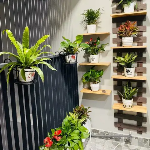 Top 15+ Cây Trồng Ban Công Chung Cư: Đẹp, Dễ Chăm Sóc & Chịu Nắng Tốt