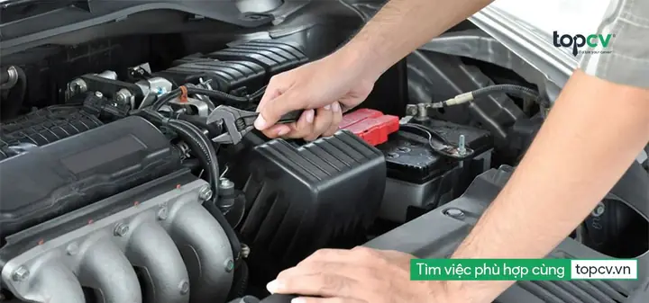 Công Ty Cp Thang Máy Hoàng Triều: Thông Tin Chi Tiết & Dịch Vụ