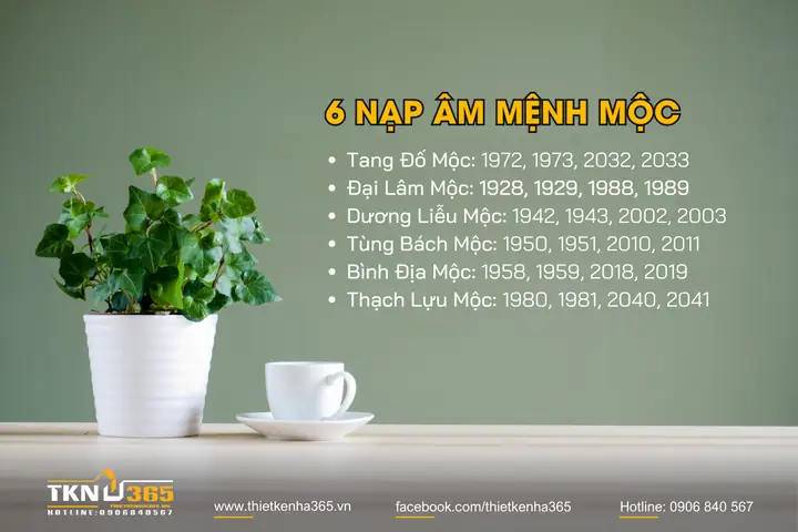 Đại Lâm Mộc Hợp Hướng Nào? Chọn Hướng Nhà, Hướng Làm Việc Thu Hút Vượng Khí