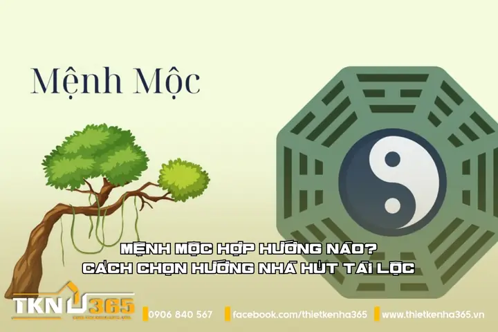 Đại Lâm Mộc Hợp Hướng Nào? Chọn Hướng Nhà, Hướng Làm Việc Thu Hút Vượng Khí