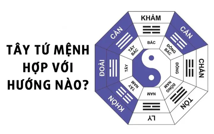 Đông Tứ Mệnh Ngồi Hướng Nào Tốt Nhất Theo Phong Thủy Bát Trạch Đông Tứ Mệnh Ngồi Hướng Nào Tốt Nhất Theo Phong Thủy Bát Trạch
