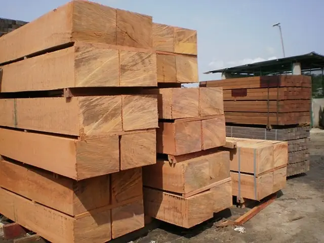 Giá Gỗ Gõ Đỏ: Báo Giá Chi Tiết Theo M3 & Ứng Dụng Mới Nhất 2026 Giá Gỗ Gõ Đỏ: Báo Giá Chi Tiết Theo M3 & Ứng Dụng Mới Nhất 2026