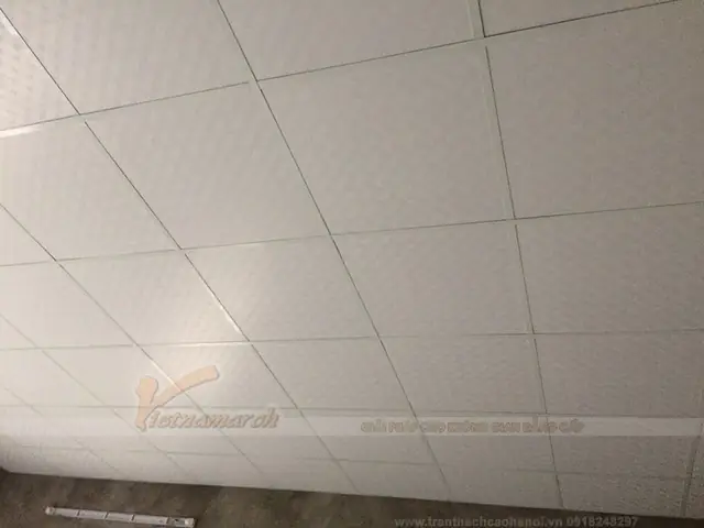 Báo Giá Tấm Thạch Cao 60x60: Chi Tiết Giá Tấm & Trần Thả Chi Tiết Nhất 2024