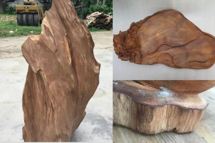 Gỗ Âm Trầm Là Gỗ Gì? Đặc Điểm, Phân Loại Và Giá Trị