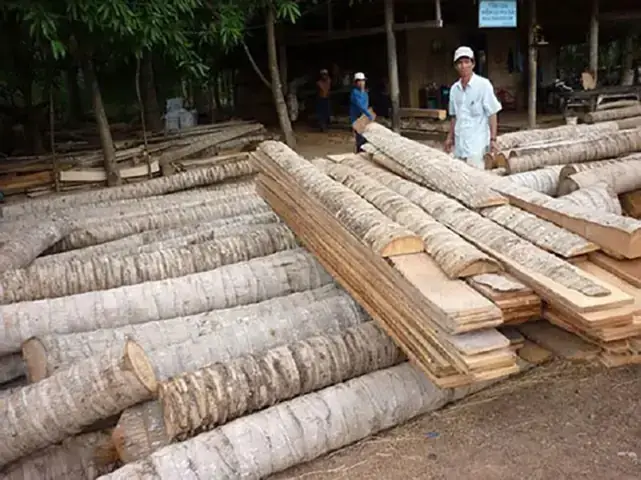 Gỗ Dừa Có Bền Không? Đánh Giá Độ Bền Và Ứng Dụng Thực Tế