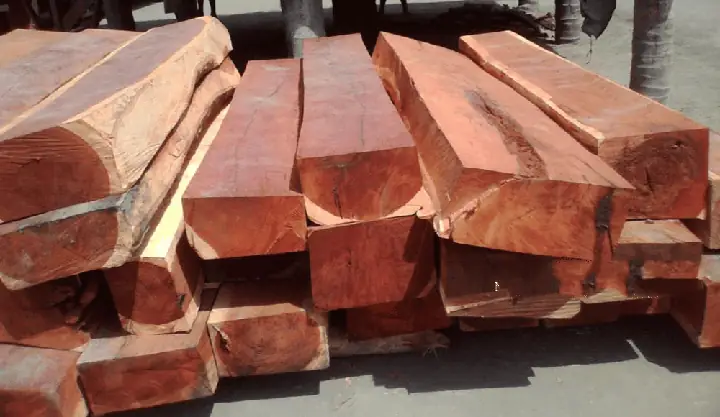 Gỗ Hương Đá Có Mấy Loại? Phân Biệt Hương Đá Lào, Nam Phi, Việt Nam