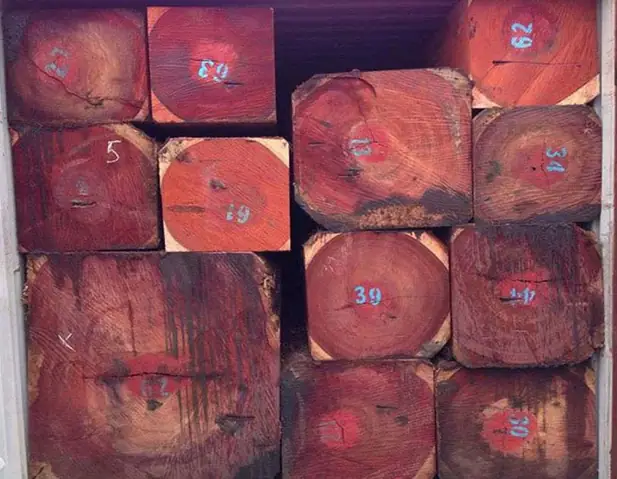 Gỗ Hương Nam Phi Bao Nhiêu Tiền 1 Khối? Bảng Giá Cập Nhật Mới Nhất
