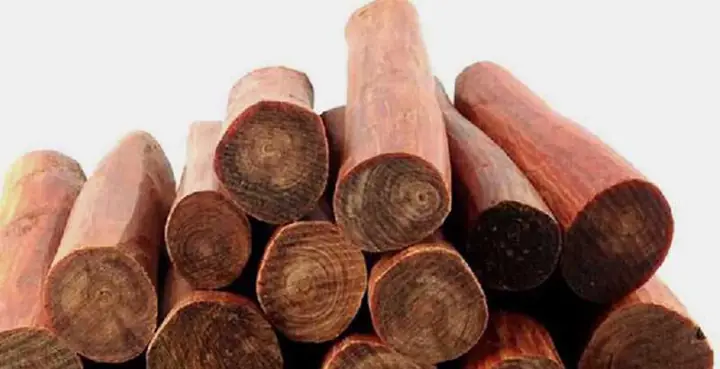 Gỗ Huyết Long Là Gỗ Gì? Đặc Điểm, Nguồn Gốc Và Ý Nghĩa Phong Thủy