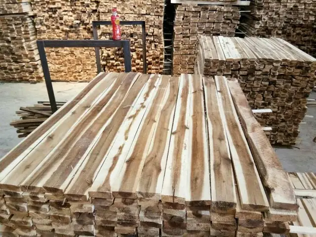 Gỗ Keo Có Bị Mối Mọt Không? Cách Xử Lý Và Tầm Quan Trọng