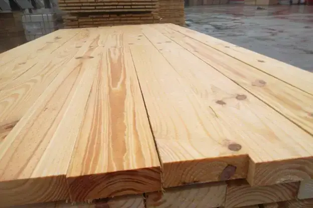 Gỗ Keo Có Bị Mối Mọt Không? Cách Xử Lý Và Tầm Quan Trọng