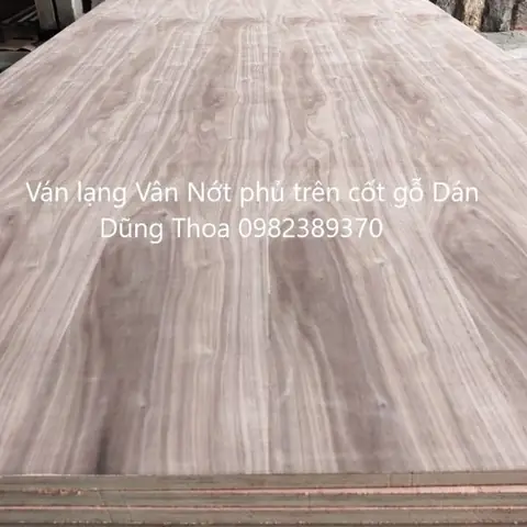 Gỗ Mdf Phủ Veneer Óc Chó: Báo Giá, Đặc Điểm & Ứng Dụng Nội Thất Cao Cấp