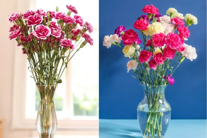Hoa Để Bàn Uống Nước Ngày Tết: Mẫu Đẹp, Ý Nghĩa & Cách Chọn