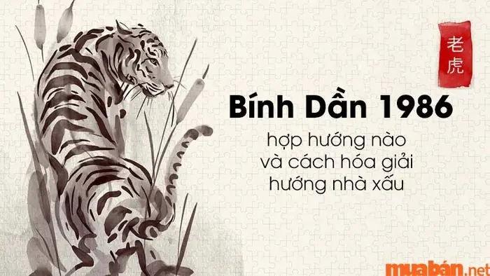 Tuổi Bính Dần 1986: Hóa Giải Hướng Nhà Xấu Và Chọn Hướng Hợp Phong Thủy