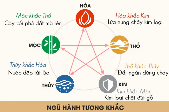 Hướng Đông Thuộc Hành Gì? Giải Mã Ngũ Hành Phong Thủy Cho Gia Chủ