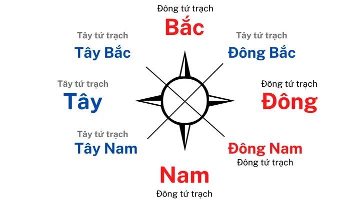 Hướng Đông Thuộc Hành Gì? Giải Mã Ngũ Hành Phong Thủy Cho Gia Chủ