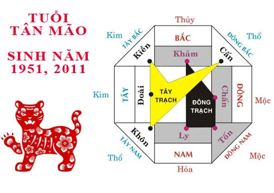 Tuổi Tân Mão Hợp Hướng Nào? Hướng Nhà Phong Thủy Giúp Tài Lộc Thăng Tiến