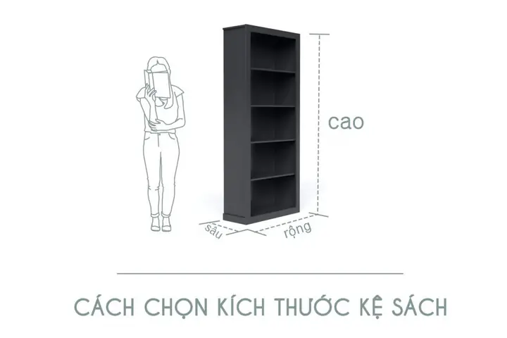 Kích Thước Kệ Sách Đẹp: Hướng Dẫn Chọn Chuẩn Cho Mọi Không Gian