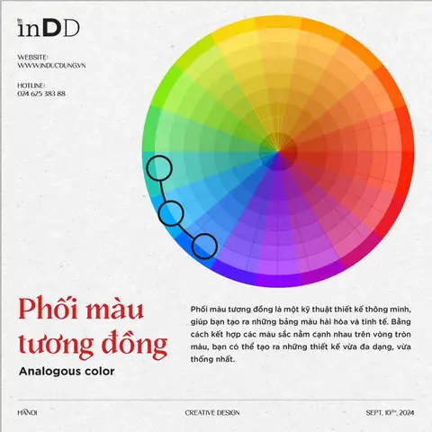Màu Tương Đồng Là Gì? Nguyên Tắc Phối Màu Hài Hòa & Ứng Dụng