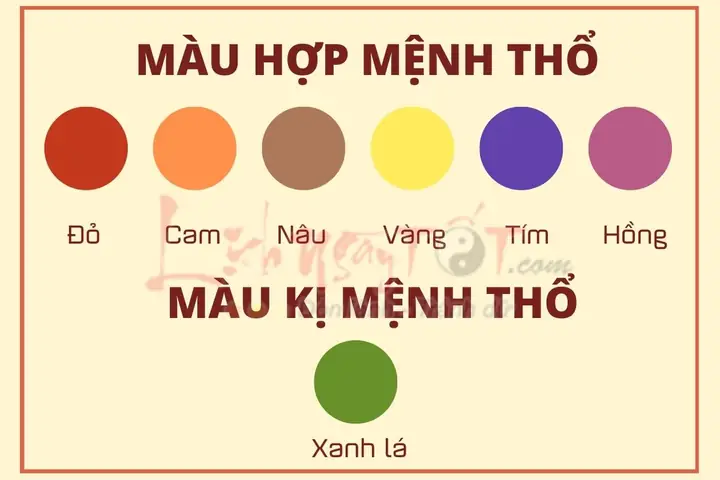 Màu Vàng Đồng Hợp Mệnh Gì? Giải Đáp Phong Thủy Chi Tiết
