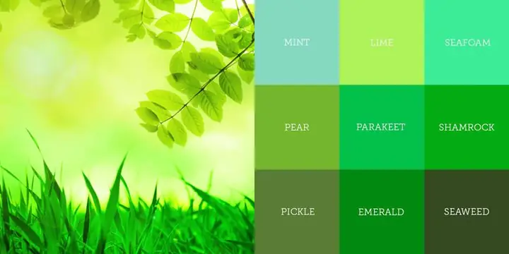 Xanh Lá Mạ Phối Với Màu Gì? Hướng Dẫn Phối Đồ Chuẩn Phong Cách