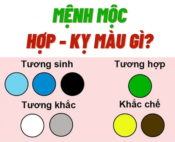 Người Mệnh Mộc Có Hợp Màu Vàng Không? Giải Đáp Phong Thủy Chi Tiết Người Mệnh Mộc Có Hợp Màu Vàng Không? Giải Đáp Phong Thủy Chi Tiết