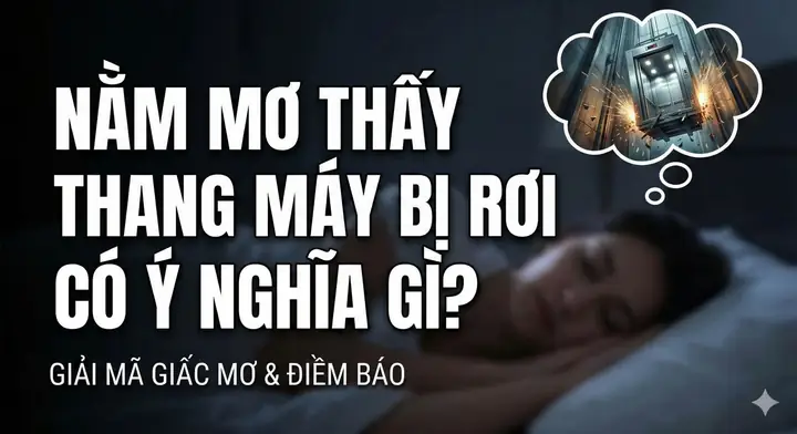 Giải Mã Giấc Mơ Bị Rơi Thang Máy: Ý Nghĩa, Điềm Báo Và Lời Khuyên