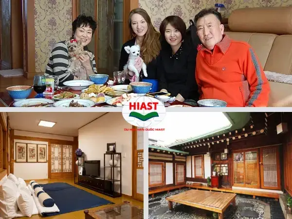 Khám Phá Những Căn Hộ Đắt Nhất Hàn Quốc: Từ Penthouse Sang Trọng Đến Biệt Thự Siêu Sang