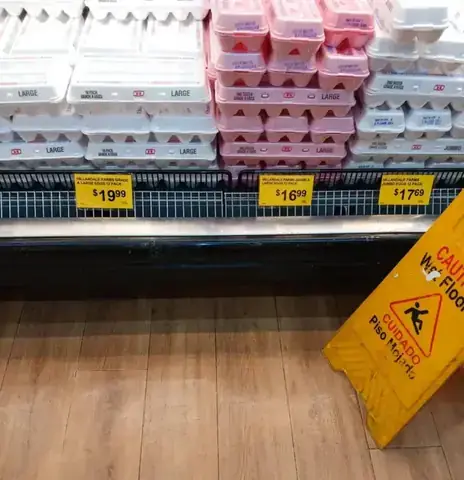 Top 10+ Loại Gỗ Chìm Trong Nước: Đặc Tính, Giá Trị Và Phân Loại Top 10+ Loại Gỗ Chìm Trong Nước: Đặc Tính, Giá Trị Và Phân Loại