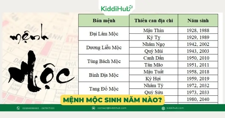 Mệnh Mộc Sắp Tới: Những Năm Sinh Và Ý Nghĩa Phong Thủy Liên Quan