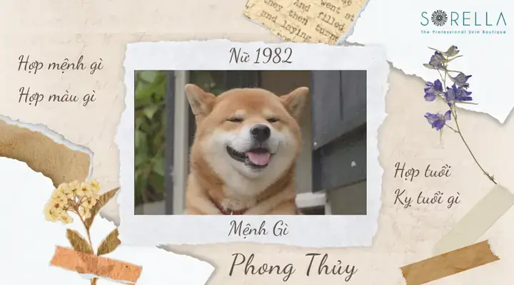 Nữ Nhâm Tuất 1982 Mệnh Gì? Giải Mã Phong Thủy, Màu Sắc Và Hướng Hợp Nữ Nhâm Tuất 1982 Mệnh Gì? Giải Mã Phong Thủy, Màu Sắc Và Hướng Hợp