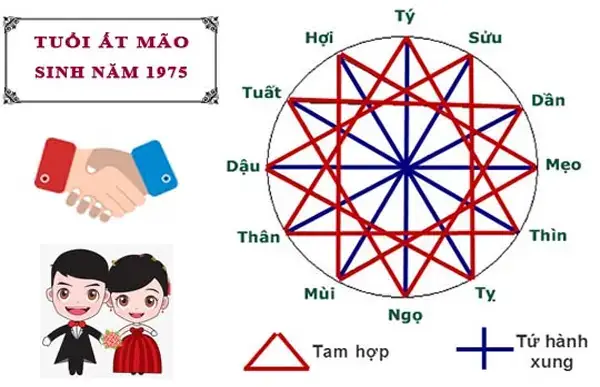 Nữ Sinh Năm 1975 (ất Mão) Thuộc Cung Gì, Mệnh Gì Và Tính Cách Đặc Trưng