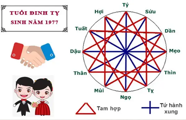 Nữ Sinh Năm 1977: Tuổi Gì, Mệnh Gì, Cung Gì Và Hợp Với Ai?