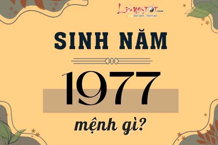 Nữ Sinh Năm 1977: Tuổi Gì, Mệnh Gì, Cung Gì Và Hợp Với Ai?
