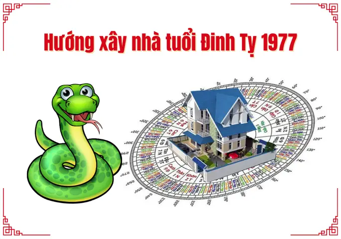 Nữ Sinh Năm 1977 Hợp Hướng Nào? Phong Thủy Toàn Diện Cho Tuổi Đinh Tỵ